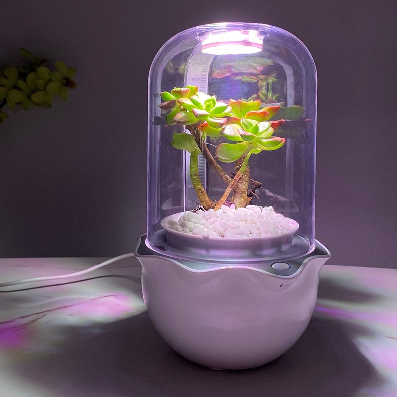 Ronjregan Smart Planter with Timer and Fan, Small Terrarium Kit