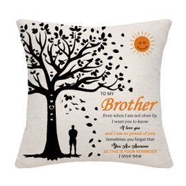 Inspirational Gifts for Brother from Sister Brother Cushion Cover Throw Pillow Cover for Brotehr Birthday Gifts Graduation Gifts (brother)