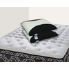 Spring Coil, Gel Memory Foam Pillows, Maintains Proper Sleeping Postures,