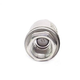 H12W-16P 304 Stainless Steel Non-Returned Valve 1/2 3/4 1 1-1/4 1-1/2 Inch BSP Female Check Valve(DN15)