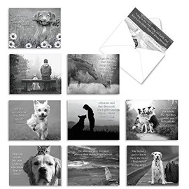 The Best Card Company - 10 Blank Inspirational Note Cards Boxed (4 x 5.12 Inch) - Canine Comments M1623BN