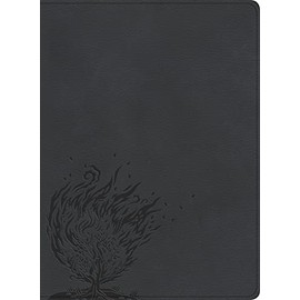 CSB Experiencing God Bible, Charcoal LeatherTouch