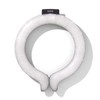 Ice Ring Adult, BREEZE, Apres Les Cours, F.O.KIDS, Medium, Black