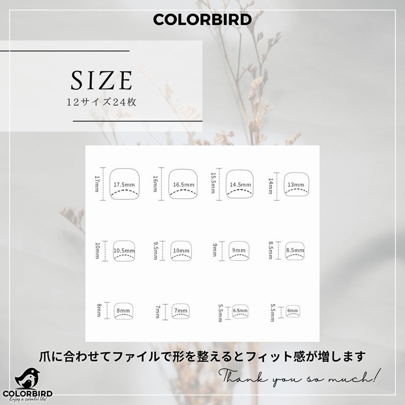 COLORBIRD Foot Nail Tips, 24 Sheets, Nail Tips, Foot Nail