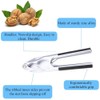 oujilet Nutcracker Pecan Cracker Nut Opener Lobster Cracker with Non