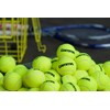 GAMMA Pressureless Tennis Balls for Tennis Practice and Lessons, Longer-Term