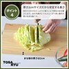 Tosa Ryu HC-6001 Hinoki Cutting Board (S) TOSARYU SHIMANTO HINOKI