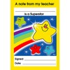 SuperStickers Superstar Teacher Reward Praise Note Pad, DNP132, 15 x