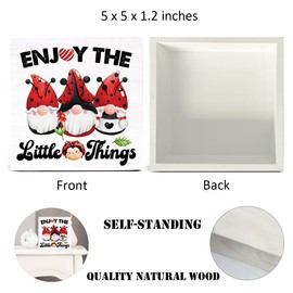 Inspirational Decor Farmhouse Enjoy the Little Things Wood Sign Spring Gnomes Decorations Country Home Living Room Table Desk Decor (5 x 5 Inches)