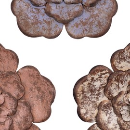 Stratton Home Décor Farmhouse Set of 3 Rustic Metal Flowers Wall Decor