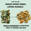 BACK 40 DOGS Freeze-Dried Green Lipped Mussels - Size: 2oz,