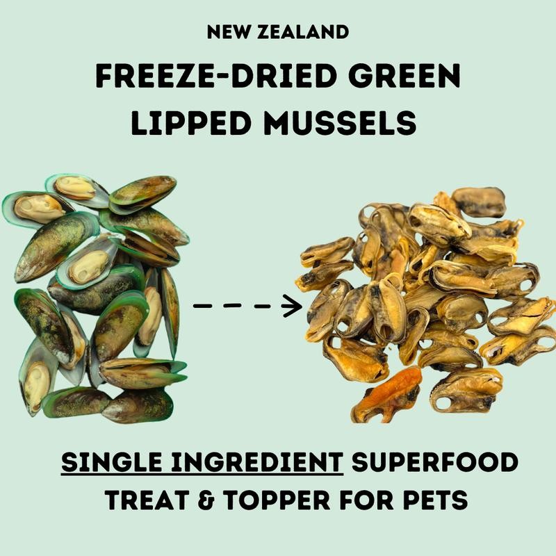 BACK 40 DOGS Freeze-Dried Green Lipped Mussels - Size: 2oz,