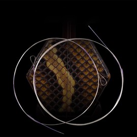 2 Sets Professional Level Erhu Strings（Inner chord plus outer chord）