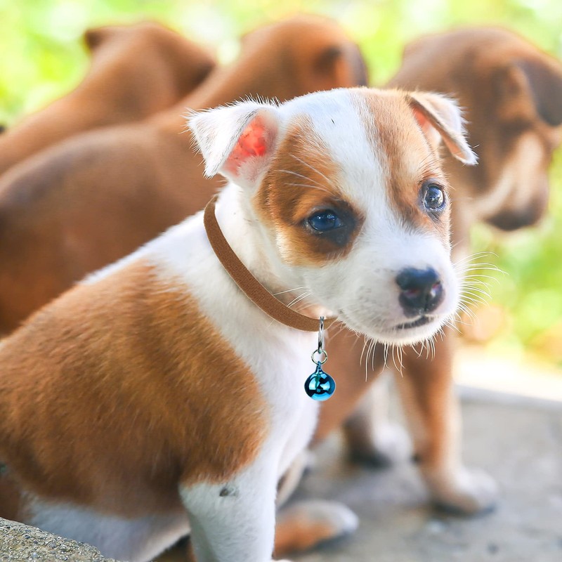jiebor 24Pcs Tiny Kitten Collar Puppy Whelping Collars with 24Pcs