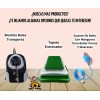 Collar Perros Y Gatos Ajustable Raza Pequeña Kit 6 Piezas