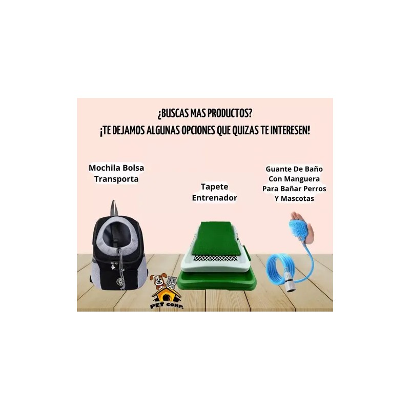 Collar Perros Y Gatos Ajustable Raza Pequeña Kit 6 Piezas