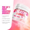 Per4m Creatine Sherbet No Water Required Dry Scoop 5g of