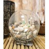 Nautical Marine Sea Shells Glass Globe Ball On Silver Coral