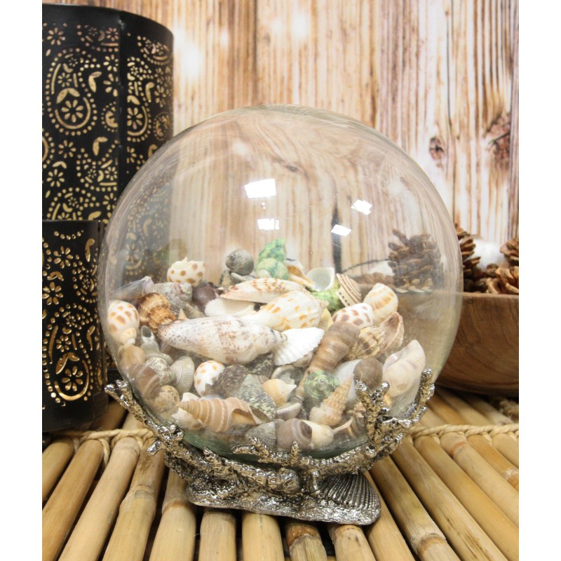 Nautical Marine Sea Shells Glass Globe Ball On Silver Coral