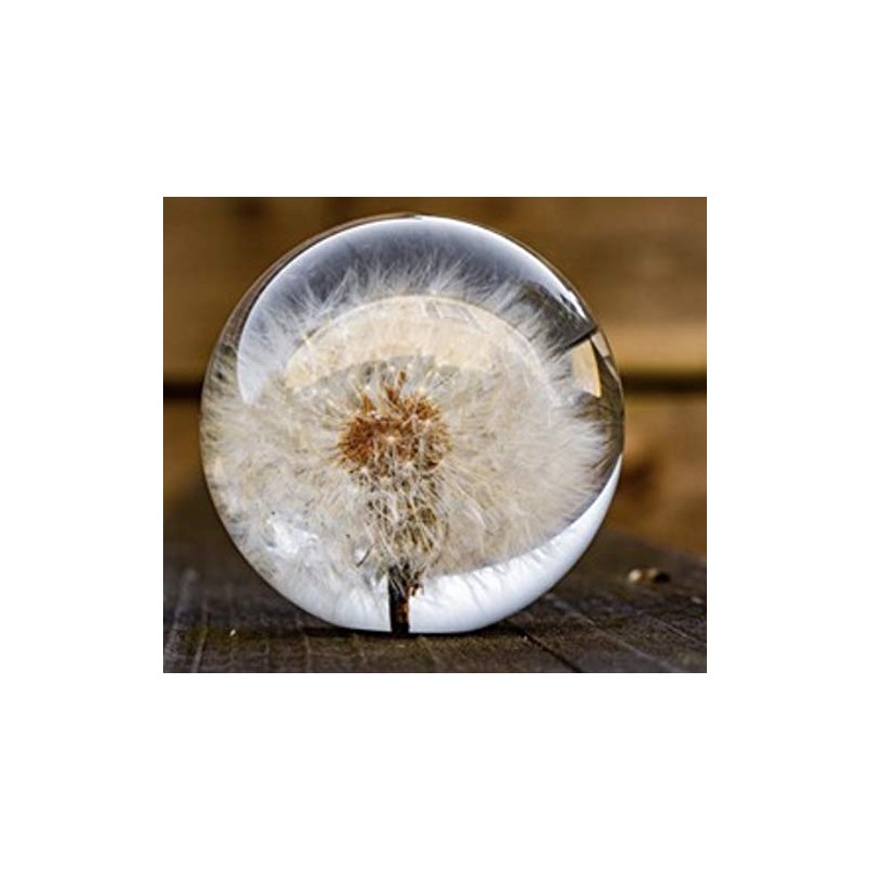 Dynasty Gallery FloraCulture Paperweight Dandelion