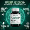 Acido Alfa Lipoico Ala 600mg Curcuma Piperina Fórmula Avanzada Antioxidante