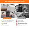 Smart Infrared Mouse Trap Indoor, Reusable Indoor Mouse/Rat Trap for