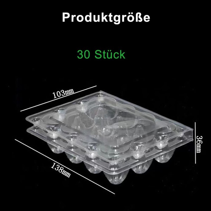 Pack of 30 Quail Egg Boxes, 12 Grid Quail Egg