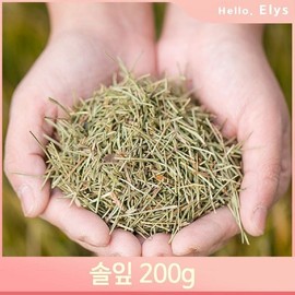 한방 소나무 잎사귀 200g 솔잎 침출차 건조 약재 영양 Herbal Pine Needle 200g Dried Tea Ingredient Nutrient