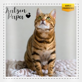 Cushion 40 x 40 cm Decorative Cushion - Picture - Cats Dad Gift with Own Photo I Cat Dad Gift Cat Owner Gifts Cat Lovers I Cat Friends - 40 x 40 cm - White