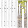 Pushglossy 5 Pack Tree Grow Tube Seedling Protectors Slit Tree