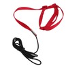 Bird Leash Bite Resistant Adjustable Parrot Flying Training Rope for