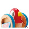 Hape - Uccellino Trainabile Spingi&Tira - Pappagallino in legno con