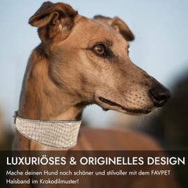 FAVPET Luxury Genuine Leather Greyhound Collar Wide with QR Code Pendant, Soft Leather Dog Collar Wide Whippet Italian Wind Chime Saluki Lurcher Spanish Galgo Greyhound Podenco (Beige, S)