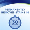 Woolite InstaClean Permanent Stain Remover, 2 Pack, 21799