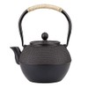 HwaGui Cast Iron Teapot Large Japanese Tetsubin Kettle with Stainless