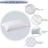 GOHOME Queen Size Pillow Set of 2 - Fluffy Down