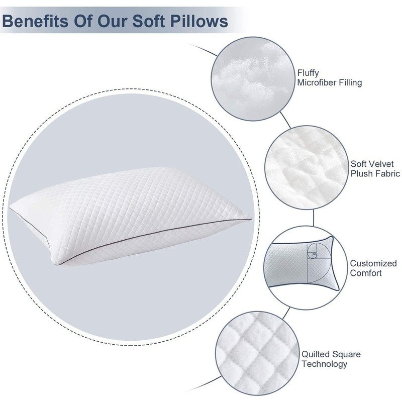 GOHOME Queen Size Pillow Set of 2 - Fluffy Down