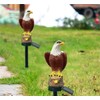Huazzzyi Outdoor Solar Lights, Eagle Solar Lights Outdoor Waterproof Eagle