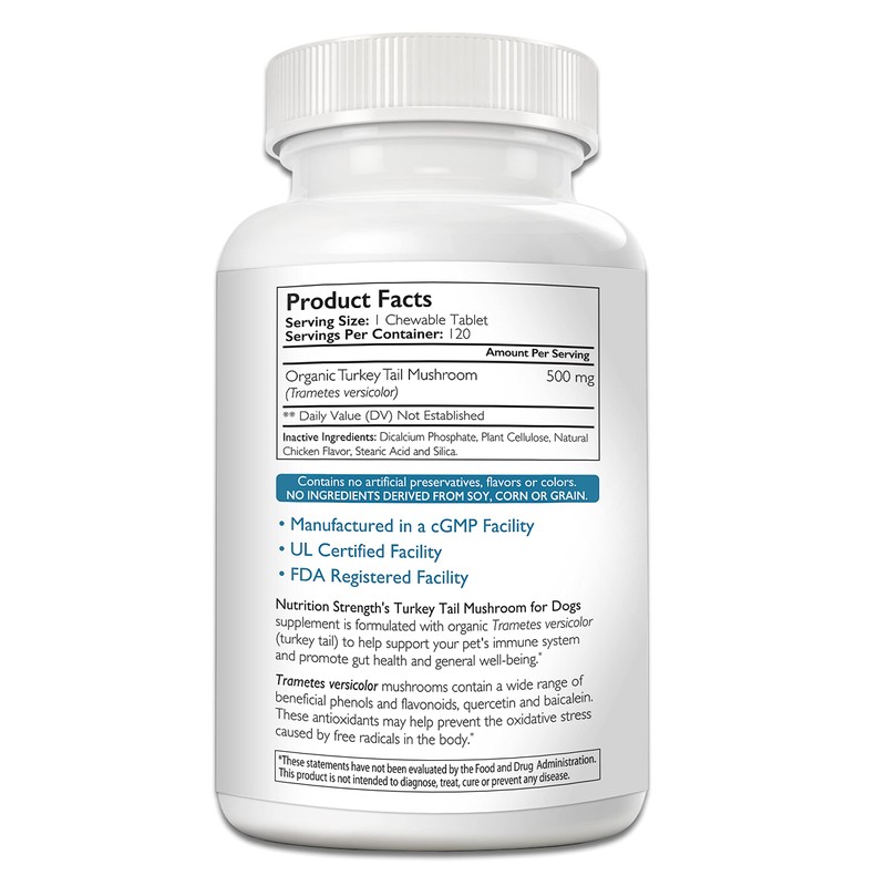 Turkey Tail Mushroom for Dogs to Support a Strong Immune