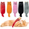 Mumoo Bear 5Pcs Bite Resistant Catnip Toy for Cats,Catnip Filled