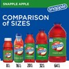 Snapple Apple All Natural Juice Drink Gluten Free 16 fl