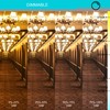 LABORATE LIGHTING, Halogen Light Bulbs, Decorative Light Bulbs, Cut Glass,
