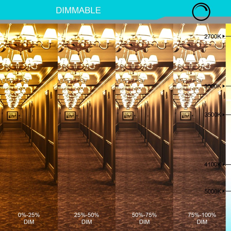 LABORATE LIGHTING, Halogen Light Bulbs, Decorative Light Bulbs, Cut Glass,