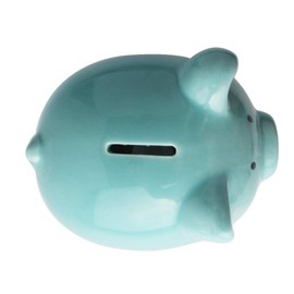 Piggy Bank,Child to Cherish Ceramic Pig Money Piggy Banks for Boys Girls Kids (Blue, M)