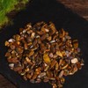 Natural Crystal Buddhist Tools, Washable Crystal, Incense Burner Ash, Incense