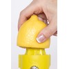 Talisman Designs Citrus Zester & Reamer | Orange Lemon &