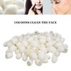 100 Pieces Silkworm Cocoons, Natural Silk Cocoons, Peeling Silkworm Balls