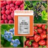No Sugar Pectin for Canning Jam 6 oz – Pure