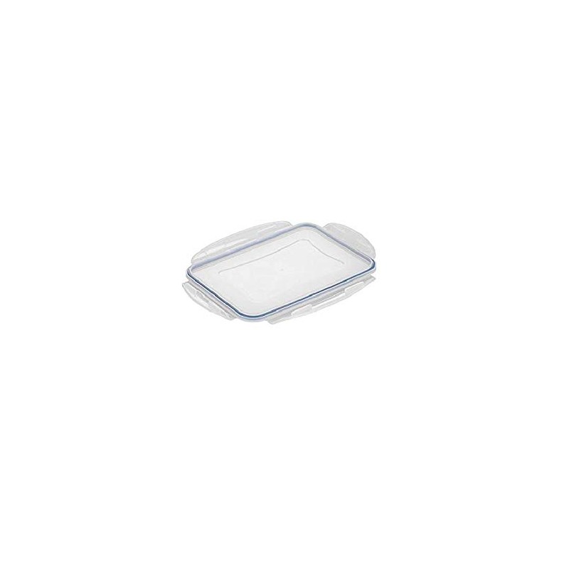 Tescoma Plastic Food Storage Box, Transparent, 25.2 x 18.3 x