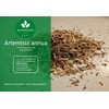 Naturaldo ARTEMISIA ANNUA (ONE YEAR BEIFOOT) CUT (250g)